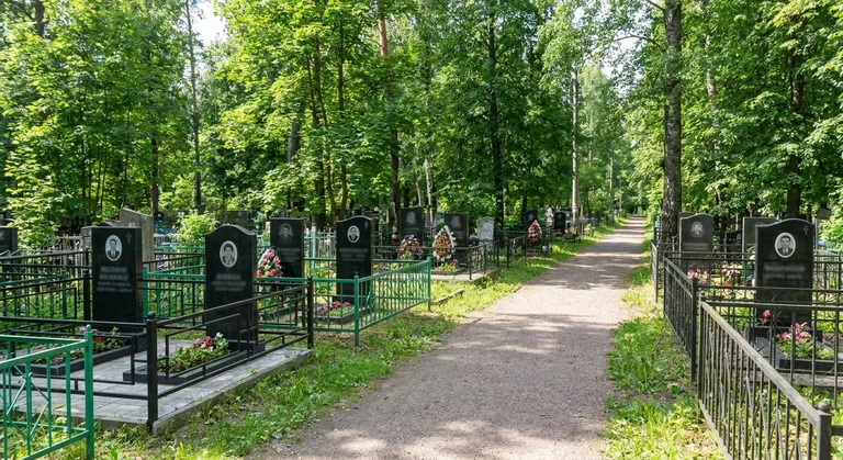 Аллея на Перепечинском кладбище